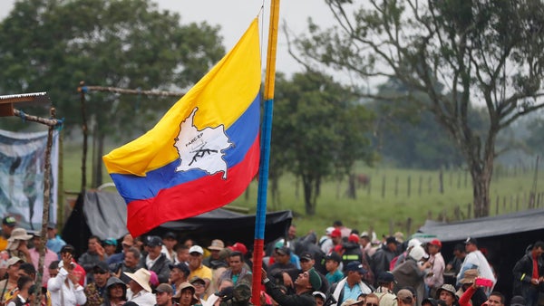 Confirman solicitud para que el Consejo de Seguridad de la ONU verifique alto al fuego entre Colombia y disidencias de las Farc