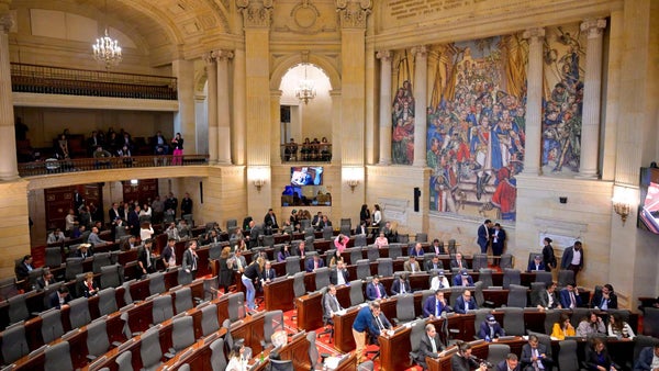 El Senado hundió el proyecto de ley para regularizar el consumo de marihuana de uso adulto y recreativo