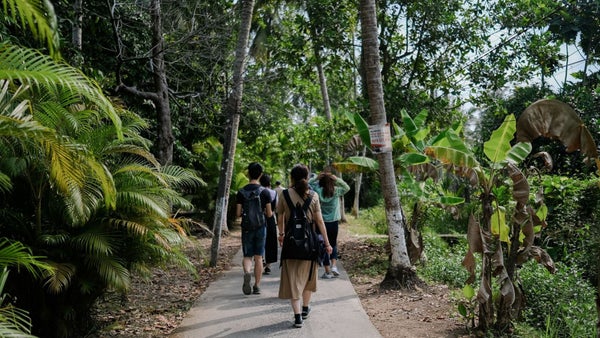 Conozca los destinos ecológicos en Colombia: turismo con conciencia ambiental