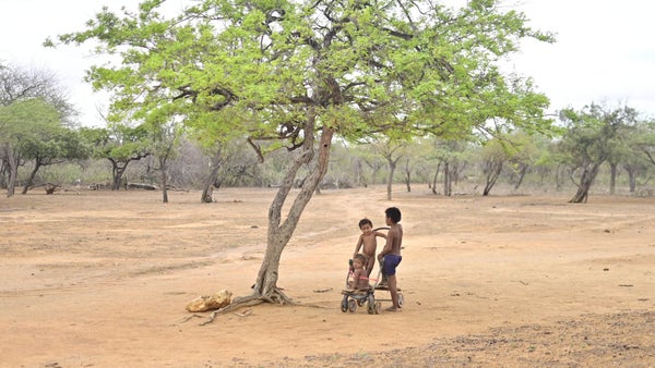Emiratos Árabes invertirá 40 millones de dólares en La Guajira