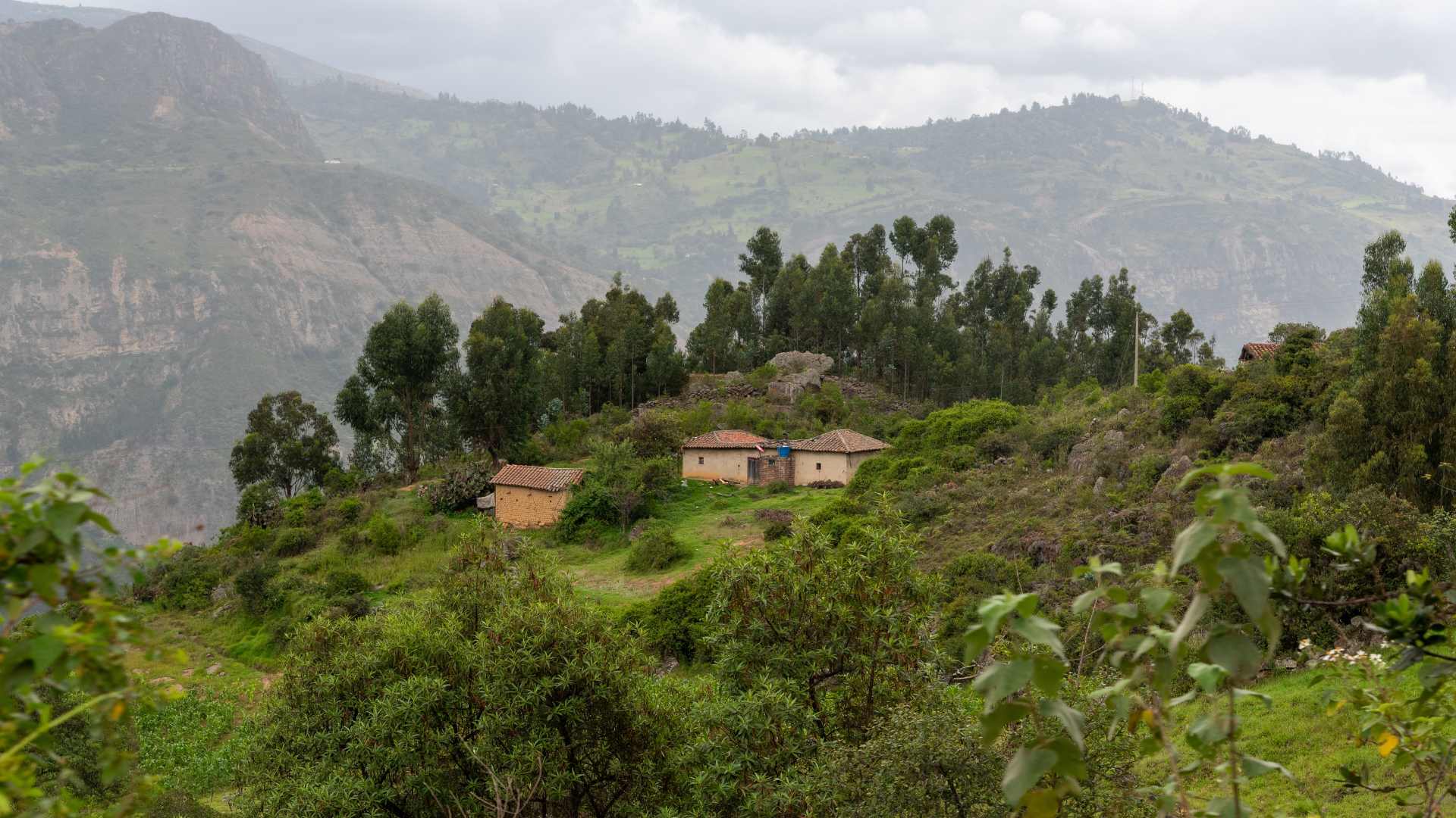 Predios// tierra// catastro// IGAC// Revista Alternativa// Noticias Caracol// Noticias RCN// RCN Radio// La FM// Blu Radio// W Radio// Caracol Radio// Red Más Noticias// Revista Semana// Infobae// La Silla Vacía// La Razón// Las 2 Orillas// Valora Analitik//