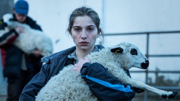 As Bestas una recomendación de cine internacional