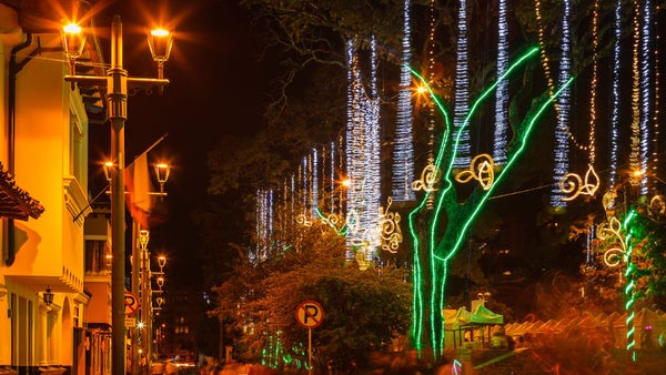 Diciembre en Bogotá: 5 planes en familia que no se puede perder