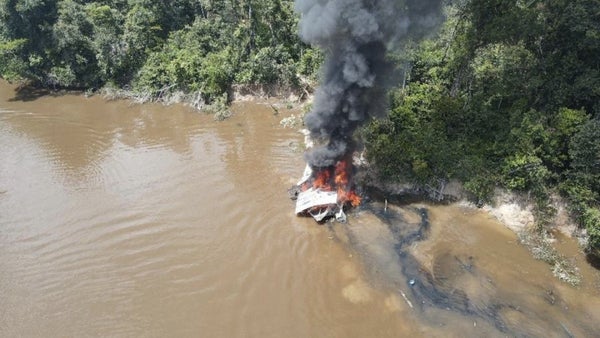 Policía de Colombia y Brasil desmantelan red de minería ilegal en la selva amazónica Policía de Colombia y Brasil desmantelan red de minería ilegal en la selva amazónica