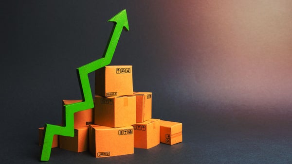 Perspectivas económicas 2024: Inflación, PIB y Tasas de Interés en el radar