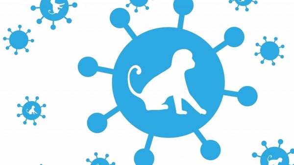 Japón confirma la primera muerte por viruela del mono