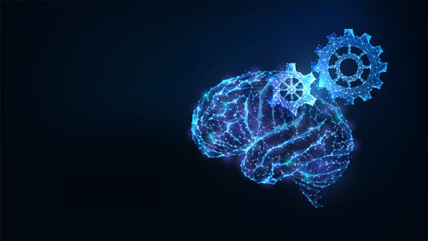 Científicos japoneses crean las primeras imágenes mentales del mundo con tecnología de inteligencia artificial