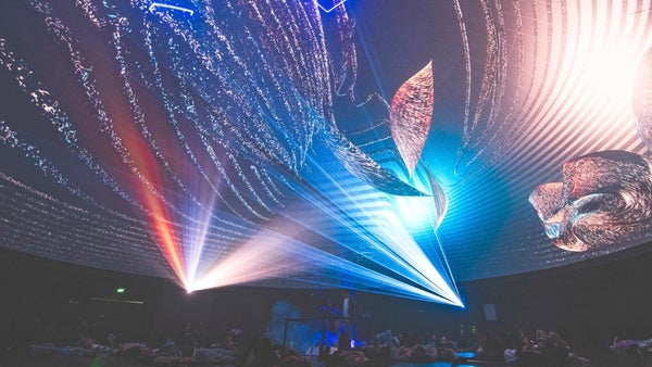 Los secretos del universo Los secretos del universo