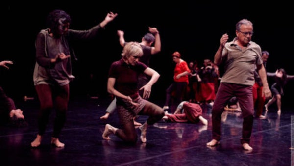 Abierta convocatoria de becas para investigadores de Artes Escénicas y Ciencias