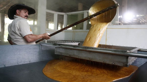 SIC niega patentar proceso de producción de panela SIC niega patentar proceso de producción de panela