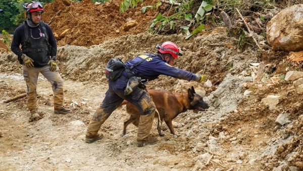 Derrumbe en Chocó: Han identificado 33 de las 35 víctimas