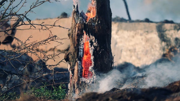 Alerta naranja en 17 municipios del Tolima ante la inminente llegada del Fenómeno del Niño