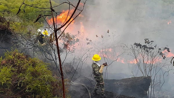 Más de 17.000 hectáreas afectadas y 34 incendios activos en Colombia
