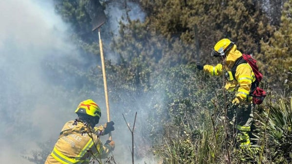 Aproximadamente 40 parques en Bogotá han sido cerrados por mala calidad del aire