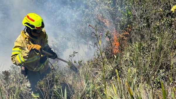 Presidente Petro anuncia decreto de desastre natural por incendios forestales
