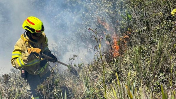 Colombia en alerta por incendios forestales en casi el 70% del país