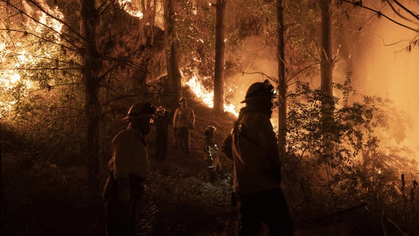 Aumentan a 122 los muertos por los incendios forestales en Chile Aumentan a 122 los muertos por los incendios forestales en Chile