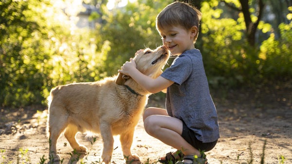 Perros ideales para convivir con niños y gatos