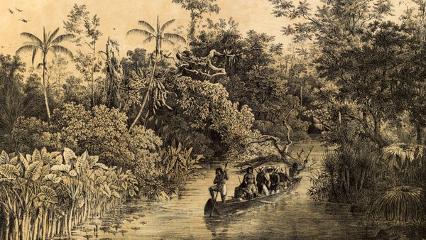 Colombia pone en marcha el 'Año de La vorágine'