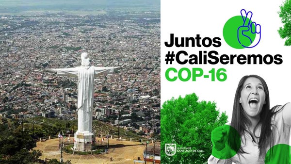 Cali será la anfitriona de la COP16