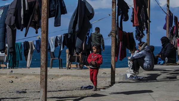 Colombia urge en la CIJ a “garantizar la existencia misma” del pueblo palestino