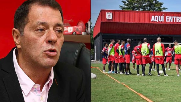 Ataque de abejas en sede deportiva del América de Cali