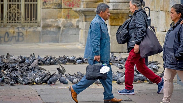 Una reforma desatinada