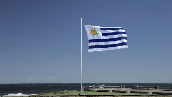 Los homicidios de mujeres y las denuncias por violencia doméstica aumentan en Uruguay