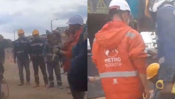 Consorcio chino encargado del Metro de Bogotá se pronuncia sobre maltrato animal