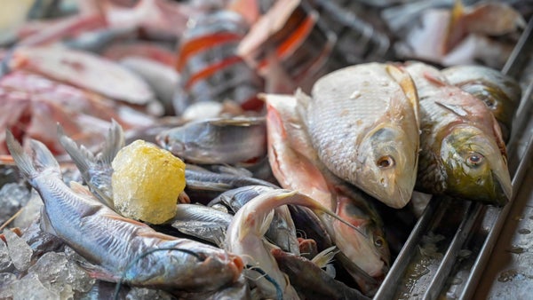 Explotando el tesoro del mar en Semana Santa: la pescadería en Colombia