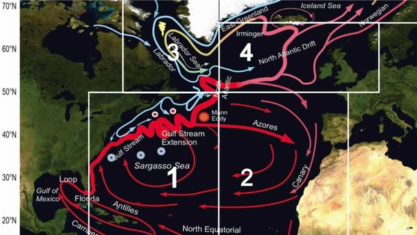 Un estudio documenta la desaceleración de las corrientes atlánticas Un estudio documenta la desaceleración de las corrientes atlánticas