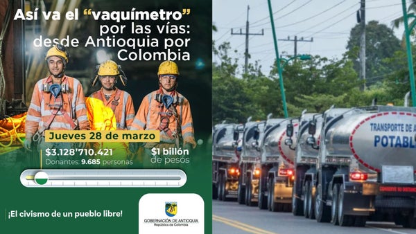 La vaca y el carrotanque La vaca y el carrotanque