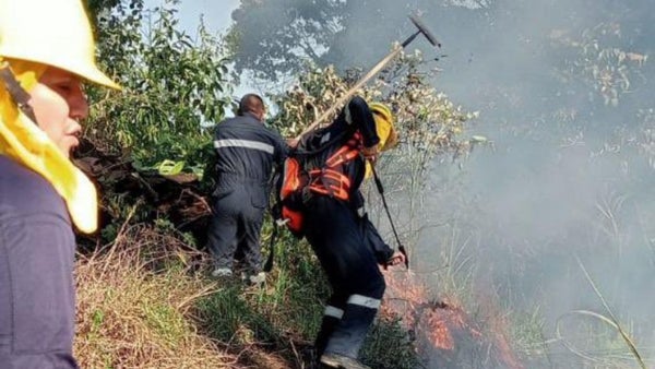 Más de 1.200 hectáreas afectadas por incendio forestal en San Onofre, Sucre