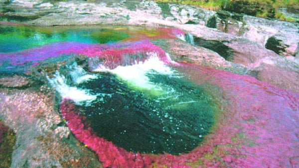 Niegan demanda de empresa de EEUU que quería sacar petróleo en área protegida de Colombia Niegan demanda de empresa de EEUU que quería sacar petróleo en área protegida de Colombia