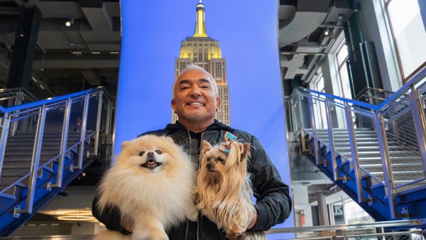 "Adiestrar perros es fácil, pero para ganarte la confianza y el respeto se necesita otra cosa": Cesar Millán