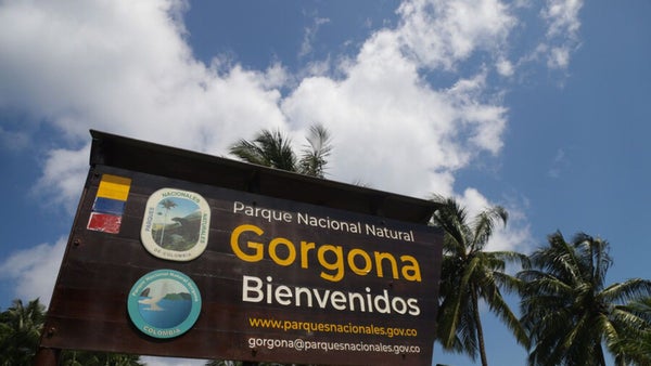 Ordenan suspender obras de la Armada en Gorgona de manera temporal