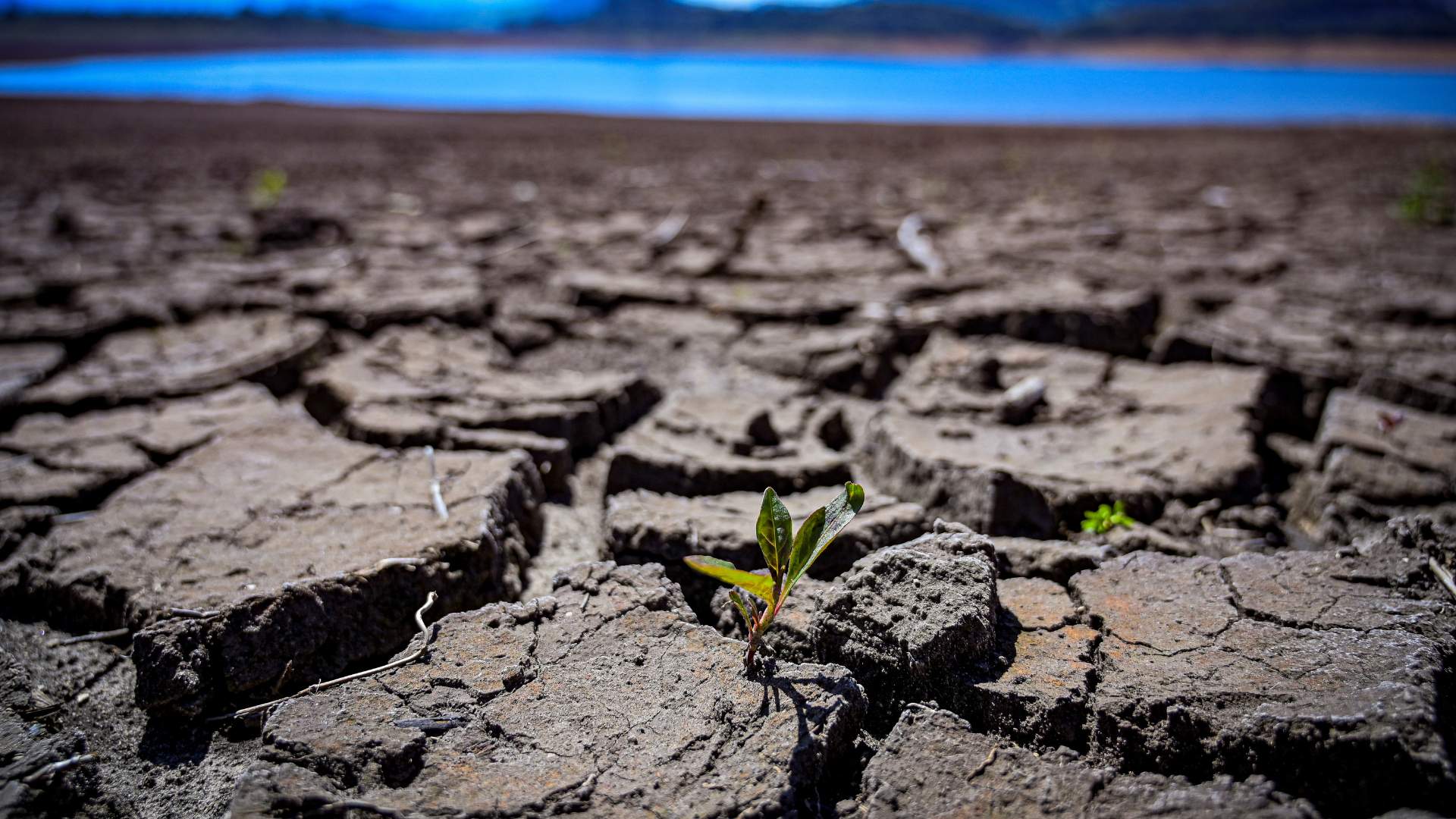 Embalse San Rafel - sequia 6