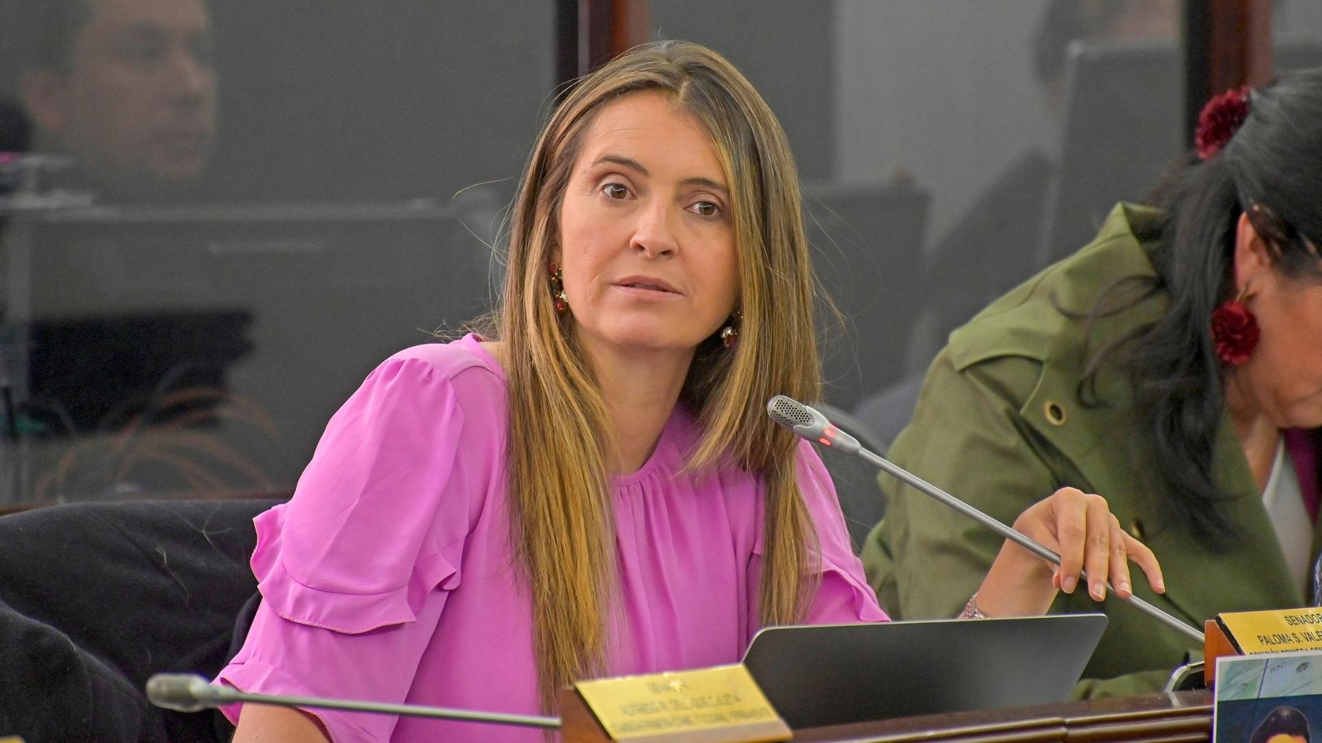 Paloma Valencia Paloma Valencia/ Revista Alternativa / Noticias Caracol / RCN / WRadio / Caracol Radio / Redmas / lafm / Revista Semana / Infobae