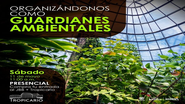 Qué hacer en Bogotá este fin de semana del 10 de mayo Qué hacer en Bogotá este fin de semana del 10 de mayo