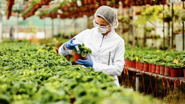 "El único camino posible de la agricultura es ciencia e innovación": Manuel Otero