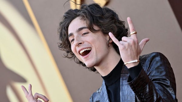 Timothée Chalamet no le deja trabajo a nadie, hará de Marty Reisman y de Bob Dylan