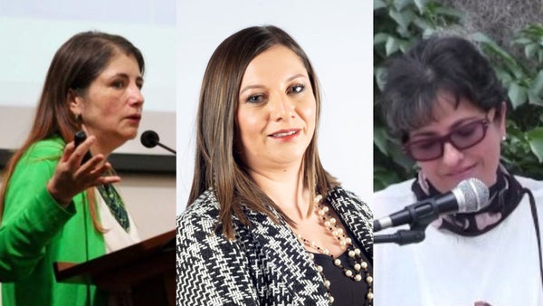 Plenaria de la Cámara escoge en estos momentos a la nueva Defensora del Pueblo