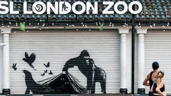 Banksy dibuja un gorila ante el zoo de Londres, su novena obra de la serie de animales