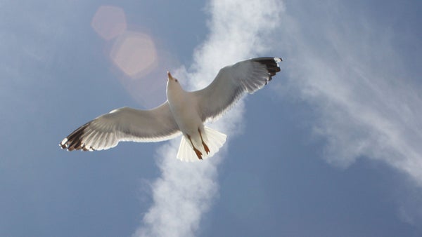 La importancia de la libertad de prensa