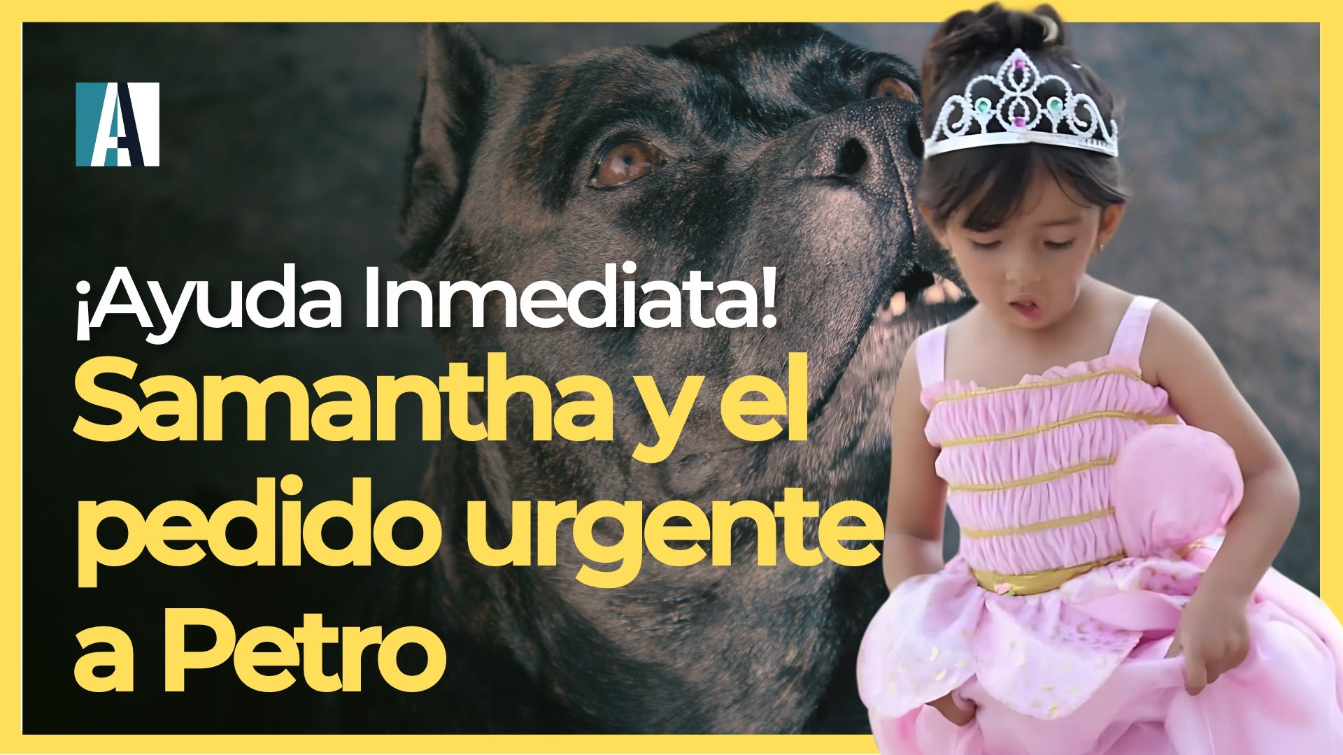 SAMANTHA, PITBULL, GUSTAVO PETRO, REVISTA ALTERNATIVA, NOTICIAS