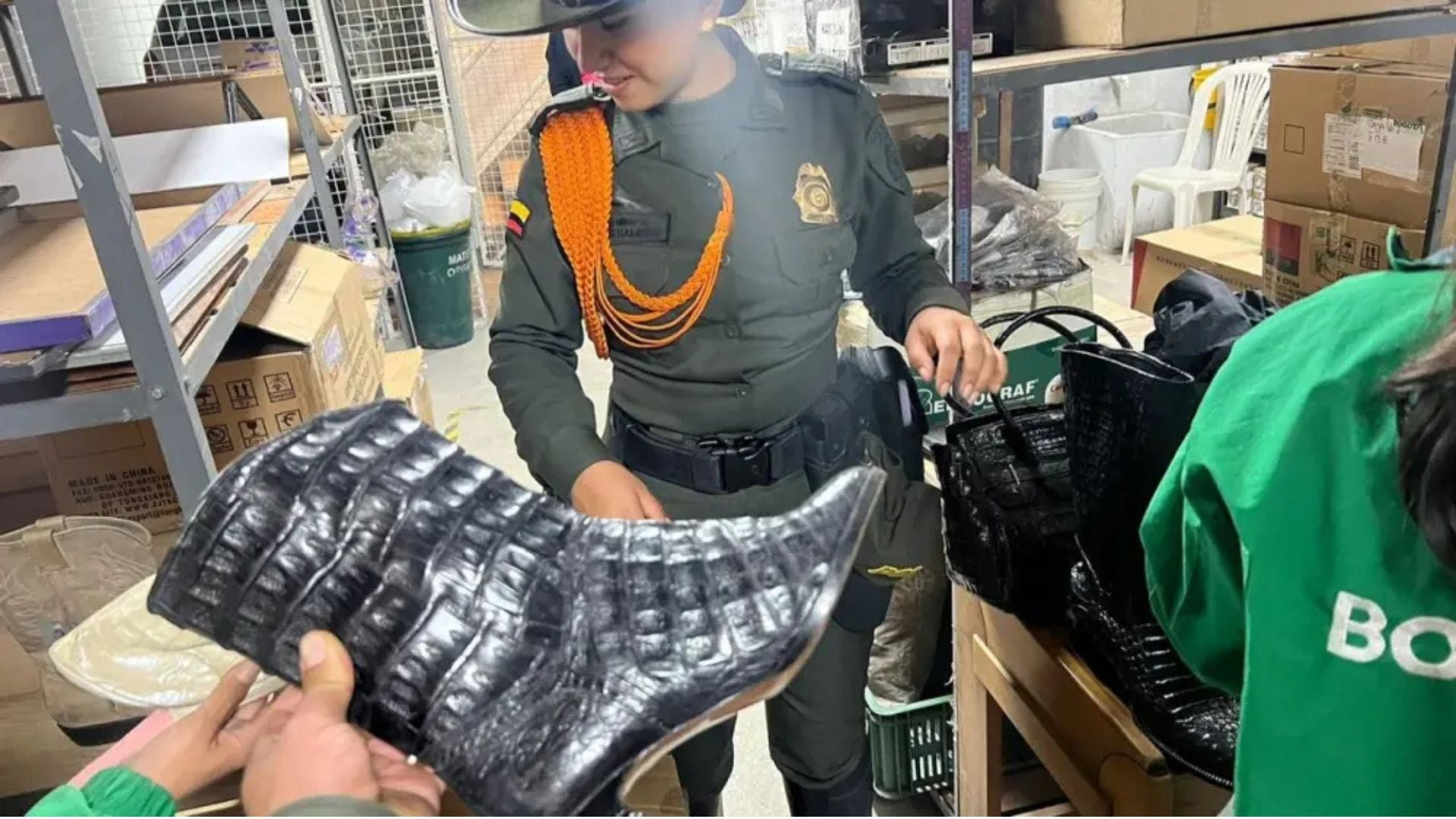 Revista Alternativa / Noticias Caracol / RCN / WRadio / Caracol Radio / Redmas / lafm / Revista Semana / Infobae