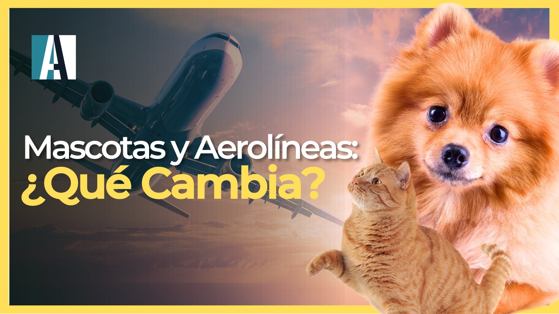 transporte aéreo de mascotas, regulación de mascotas, proyecto de ley Colombia, Julián Davis López, bienestar animal, mascotas en vuelos, legislación sobre mascotas, derechos de los animales, transporte seguro, noticias de Colombia, aviación y mascotas, iniciativas legislativas, cuidado de mascotas, revista alternativa, noticias
