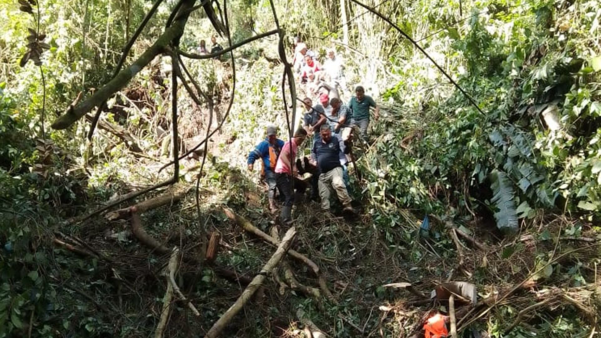 Accidente// bus// Caparrapí// Azuancha// fallecidos// abismo// muertos// Revista Alternativa// Noticias Caracol// Noticias RCN// RCN Radio// La FM// Blu Radio// W Radio// Caracol Radio// Red Más Noticias// Revista Semana// Infobae// La Silla Vacía// La Razón// Las 2 Orillas