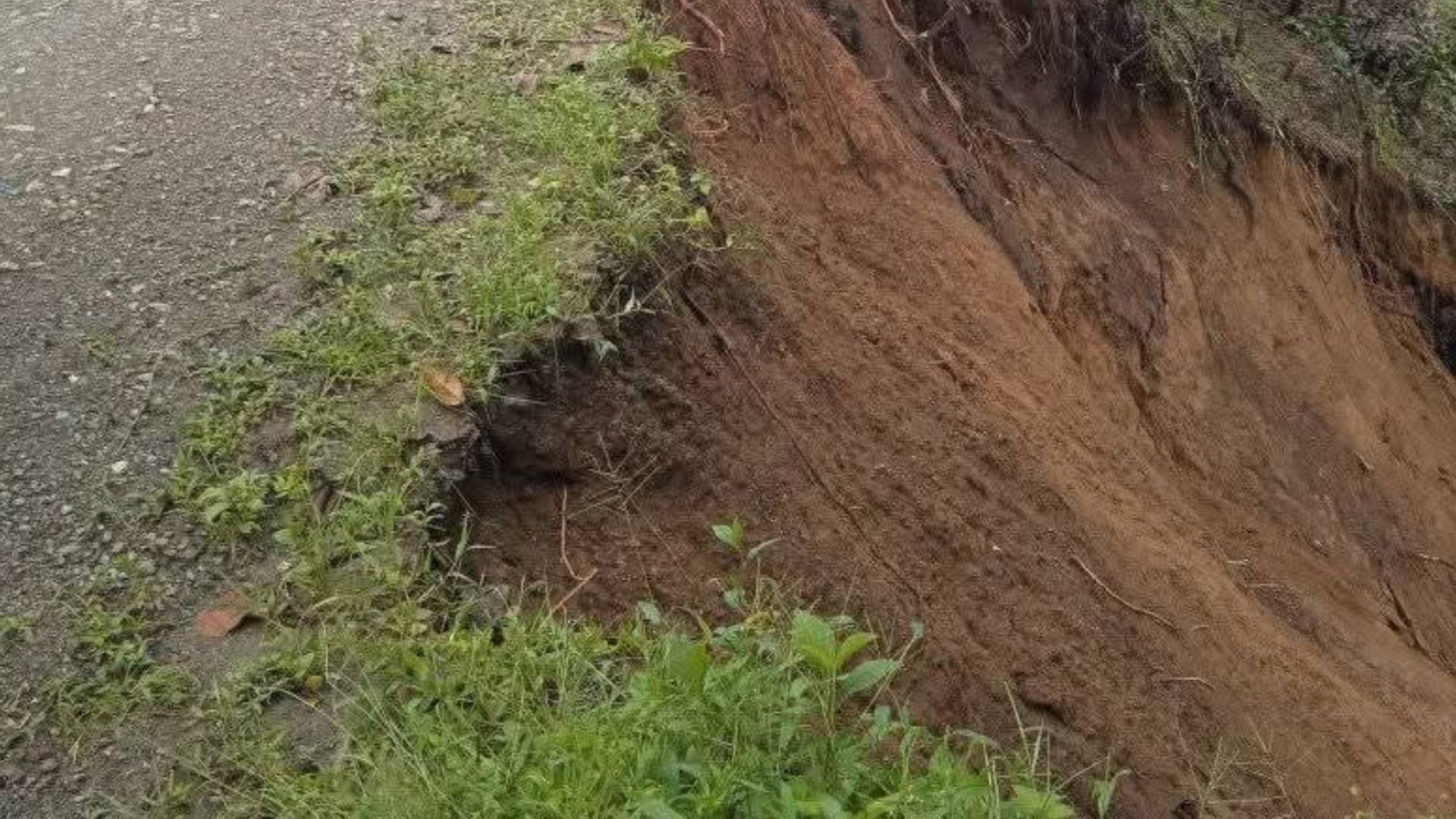 Deslizamiento// Balboa// vía a Argelia// Cauca// Revista Alternativa// Noticias Caracol// Noticias RCN// RCN Radio// La FM// Blu Radio// W Radio// Caracol Radio// Red Más Noticias// Revista Semana// Infobae// La Silla Vacía// La Razón// Las 2 Orillas//