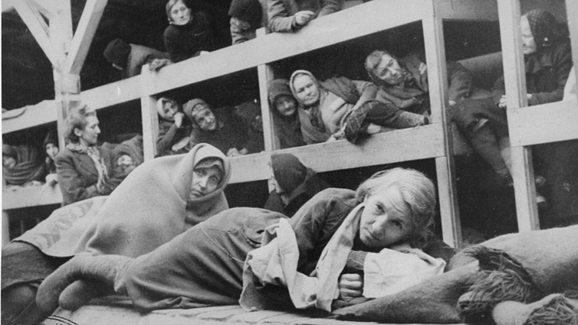 Auschitwz / Barbarie / opinión / Revista Alternativa / Noticias Caracol / RCN / Noticias RCN / WRadio / Caracol Radio / Redmas / lafm / Revista Semana / Infobae/ Pulzo